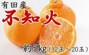 ［濃厚］有田の不知火約5kg（12～20玉）★2026年2月中旬頃より順次発送 BZ004