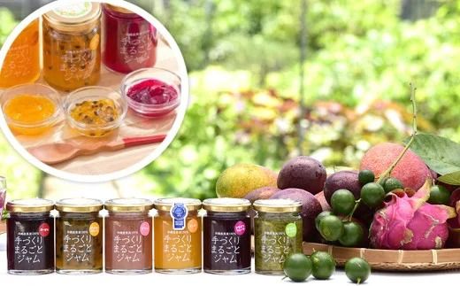 【2ヶ月に1度の定期便：全3回】しらかわファームの手づくりまるごとジャム6種 - 手づくり 6個 詰め合わせ セット 定期便 隔月 3回お届け マンゴー ドラゴンフルーツ 秋ミカン カーブチー グアバ ローゼル ハイビスカス パッション 南国 手作り 果実100％ おすすめ 沖縄県 八重瀬町