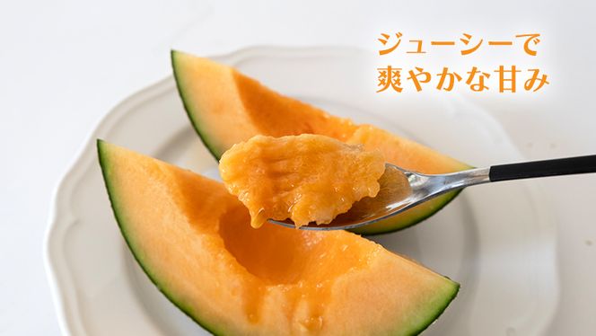 【 令和8年産 】【 先行予約 】 タカミレッドメロン 秀品 1箱 3玉～5玉入り 飯岡 メロン 貴味 タカミ 赤肉 果物 フルーツ 甘い [CG001ya]