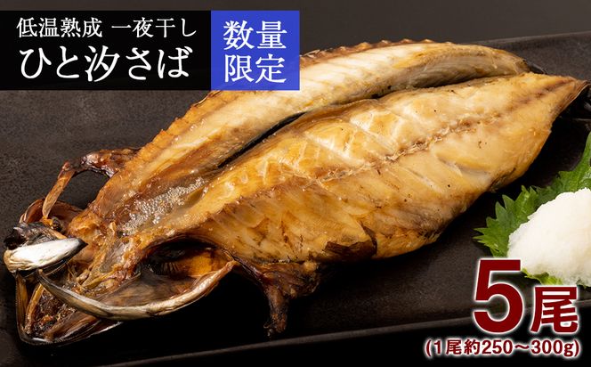 ykCVzቷn 銱 ЂƎ 5 ՏlH  AA025