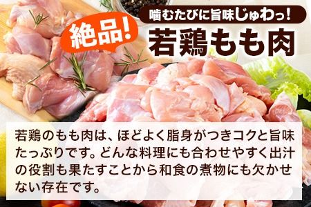 鶏肉 大容量 小分け うまかチキン 全パックもも肉セット(計1種類) 合計3.1kg 冷凍 小分け《3-7営業日以内に出荷予定(土日祝除く)》熊本県 氷川町 鶏もも肉 若鶏 鶏肉---hkw_fumkmm_u_14500_3100g---