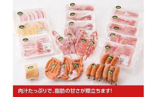 宮崎県産豚　5キロオーバーこんなに食べられません尾鈴豚セット 【 肉 豚肉 精肉 肉加工品 惣菜 詰め合わせ 】 [C00405]