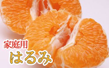 家庭用はるみ4kg+120g（傷み補償分）【デコポンの姉妹品種・新食感春みかん】【光センサー選別】【わけあり・訳あり】【ikd051】