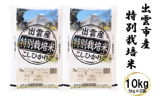 特別栽培米　出雲市産コシヒカリ　5ｋｇ×6回　定期便6ヵ月　お米　【6-009】