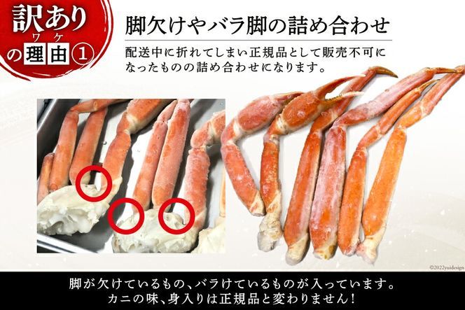 【年内配送 12/15まで受付】訳あり ボイル ずわいがに 肩付き脚 総重量1kg [カネダイ 宮城県 気仙沼市 20564325_CF01] カニ かに ズワイガニ ずわい蟹 ズワイ蟹 ずわい ズワイ 蟹 カニ カニ脚 蟹脚 不揃い 規格外 海鮮 ご褒美