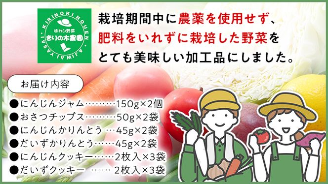 【 先行予約 】 自然野菜の お菓子 詰め合わせ セット （ 2025年12月頃より順次発送開始 ） 手作り クッキー かりんとう おつまみ 野菜 ジャム さつまいも にんじん 大豆 菓子 スイーツ