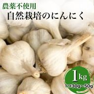 【2025年産 予約】にんにく 1kg 京都府・亀岡産 自然栽培のかたもとオーガニックファームよりお届け ※離島への発送不可 ※2025年6月下旬～9月下旬頃に順次発送予定