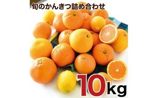 156.特選 旬のかんきつ詰め合わせ 10kg(A156-3)