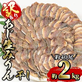 ＜訳あり・業務用＞あじの生みりん干し (計約2kg・約40尾) 干物 ひもの 鯵 アジ お酒のおつまみ 大分県 佐伯市 【GH003】【増野善雄商店】