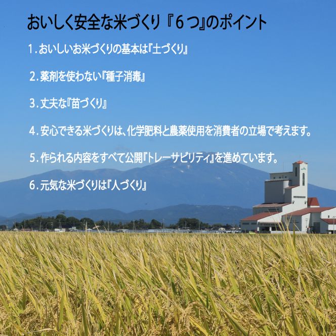 山形県庄内町産　特別栽培米つや姫　5kg×２袋