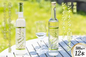 ワイン (コンチネンタル日本ワイン) シャインマスカット 500ml×12 [ サン.フーズ 山梨県 韮崎市 20743657 ] 酒 お酒 日本ワイン 果実酒 白ワイン ぶどう マスカット ブドウ 葡萄 白 甘口 フードロス 支援 農家支援 飲み物 飲料 山梨 国産 お祝い 誕生日 パーティー