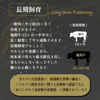 数量限定「亀岡牛ヒレステーキ(頭側)」300g＜亀岡牛専門店（有）木曽精肉店＞≪ふるさと納税牛肉 和牛 牛肉 ヒレ ステーキ≫☆祝！亀岡牛 2023年最優秀賞（農林水産大臣賞）受賞