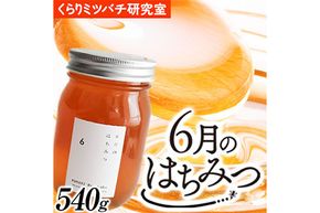 6月のはちみつ 540g KURARI くらりミツバチ研究室《90日以内に出荷予定(土日祝除く)》和歌山県 紀の川市 蜂蜜 ハチミツ 非加熱 純正生はちみつ トースト ヨーグルト---wsk_krrjhoney_90d_22_10000_1d---