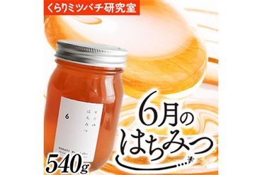 6月のはちみつ 540g KURARI くらりミツバチ研究室[90日以内に出荷予定(土日祝除く)]和歌山県 紀の川市 蜂蜜 ハチミツ 非加熱 純正生はちみつ トースト ヨーグルト---wsk_krrjhoney_90d_22_10000_1d---