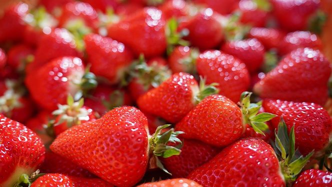 （予約受付中）【12月以降順次発送】まるで赤いサファイア!!丹精込めた完熟いちご!! 約1350g H130-011