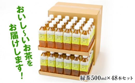 トライアルのおいし～い緑茶（500mlペットボトル×48本）