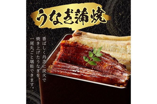 デパート 送料無料 うなぎの食べ比べセット2~3人前【蒲焼き・白焼きそれぞれ1/2尾 魚介類(加工食品)