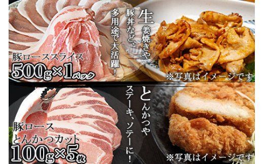 ＜宮崎県産豚肉 《お楽しみ》バラエティーセット 合計2.0kg＞翌月末迄に順次出荷【b0387_ty】
