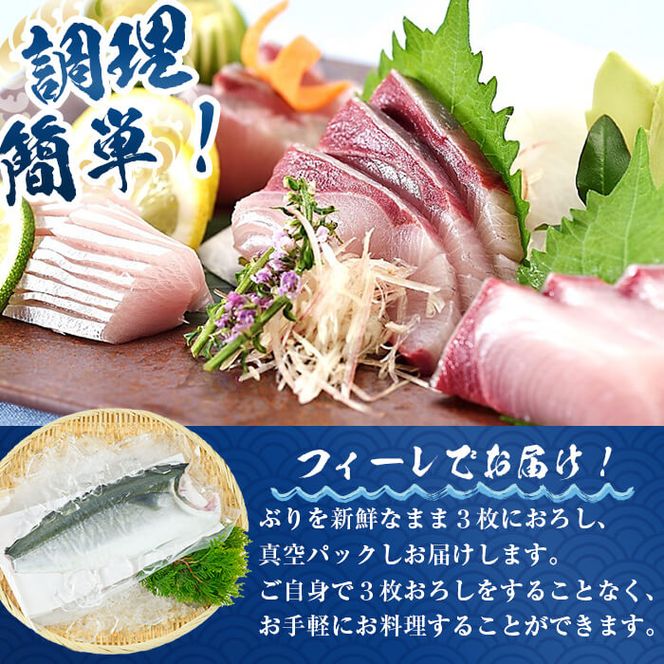 大分県産養殖ブリフィーレ(約1kg前後)とブリチャン（ブリのチャンジャ）お土産用(40g) セット 鰤 ブリ フィレ 国産 刺身 さしみ 魚介 海産物 半身 丼 カルパッチョ ブリしゃぶ たたき おつまみ 大分県産 大分県 佐伯市【EW063】【(株)Up】