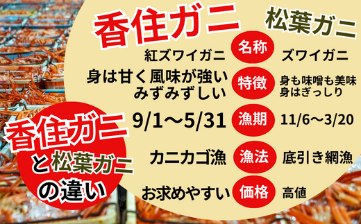 【香住ガニ 茹で ボイル カニ ポーション 脚むき身 約30本 約600g 三杯酢付 冷凍】 発送：入金確認後、順次発送 カニの本場 香住漁港で水揚げ ボイル むき身 サラダ 海鮮丼 カニ鍋 ベニズワイガニ 強い甘み みずみずしい ジューシー かに身 ポーション ふるさと納税 送料無料 足 身 兵庫県 香美町 香住 国産 山陰 日本海 マルヨ食品 マルヨダイレクト 17-26