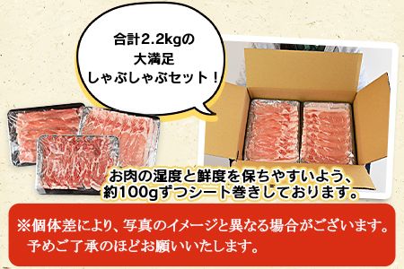 ＜宮崎県産豚しゃぶしゃぶ 三種盛りセット 合計2.2kg＞翌月末迄に順次出荷【b0386_ty】