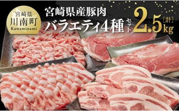 宮崎県産豚肉バラエティ4種セット2.5kg [G7523]