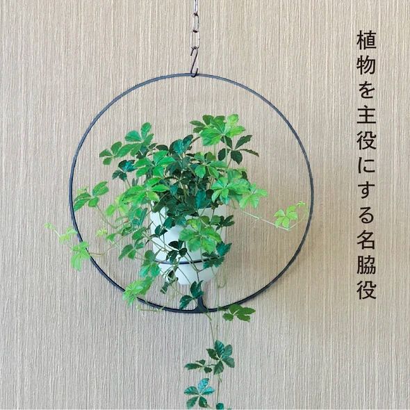 GRAVIRoN Hang Plants シリーズ Round 黒皮鉄（プランツハンガー） 観葉植物 プランター