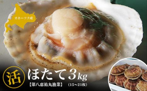 オホーツク産 『活』 ほたて 3kg(15〜21枚)