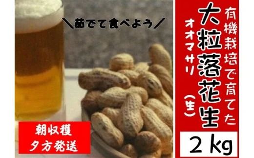 0C3-92 【先行予約】有機栽培で育てた大粒落花生（おおまさり）2kg