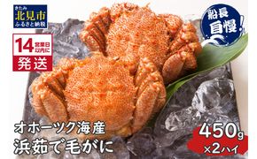 《14営業日以内に発送》オホーツク海産 浜茹で毛がに 450g×2ハイ 冷凍 ( かに カニ 毛ガニ 魚介類 蟹 )【114-0031-2024】