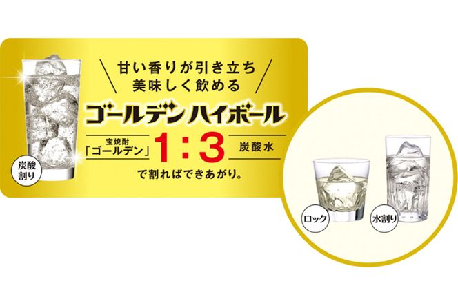 BE175宝焼酎「ゴールデン」25度 360ml×12本入