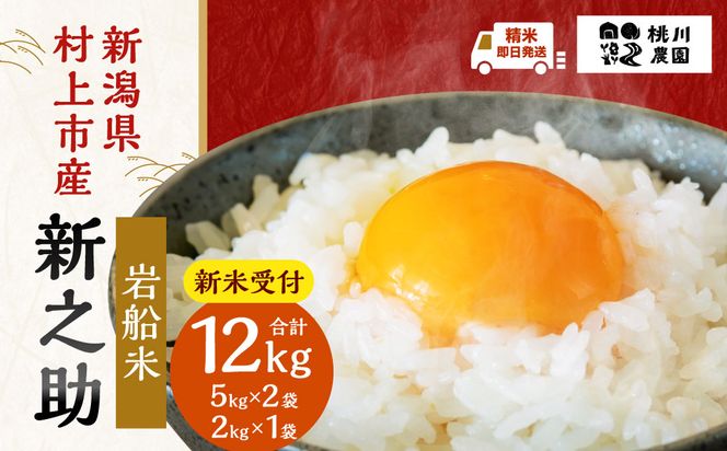 【新米受付・令和8年産米】【精米即日発送】新潟県村上市産 新之助12kg（5kg×2袋、2kg×1袋入り）NB4073