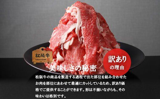 【2-165】松阪牛プレミアム切り落とし250ｇ×2P（500ｇ）