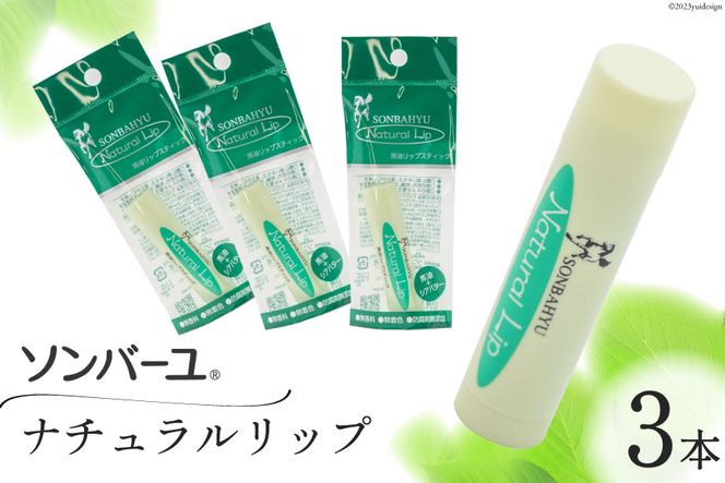 y}szbv \o[ i`bv 3{ [t  }s 21760501] ϕi bvN[ O  邨  O̍r n jp