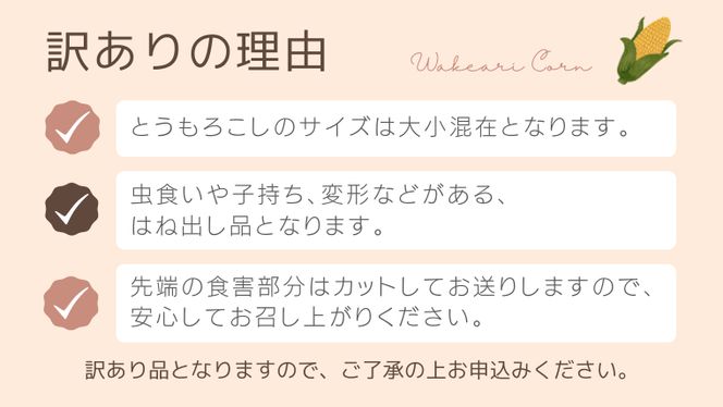 【先行予約 2026年7月中旬以降発送 】【 令和8年産 】【 訳あり 】 八千代町産 農家直送 朝採り とうもろこし おおもの 6kg トウモロコシ スイートコーン 産地直送 規格外  不揃い 傷 [AX031ya][SZRY]