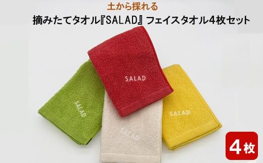 土から採れる　摘みたてタオル 『SALAD』 フェイスタオル 4枚セット【2_7-006】