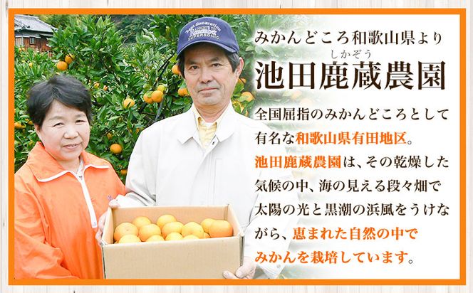 厳選 不知火5kg+250g（傷み補償分）【デコポンと同品種・人気の春みかん】【光センサーで食べ頃出荷】 池田鹿蔵農園@日高町（池田農園株式会社）《2月上旬-4月中旬頃より出荷》和歌山県 日高町【配送不可地域あり】---wsh_idn332_2j3m_25_19000_5kg---