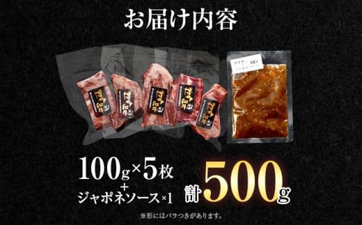 博多和牛ヒレステーキ100g×5枚