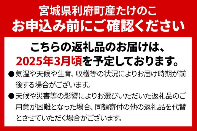 宮城県利府町産 採れたて 高級白子たけのこ 皮付き2kg以上（2〜6本）筍 タケノコ 野菜 国産 新鮮 旬|06_ods-010201