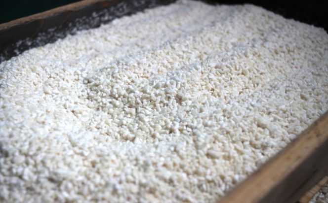 【A5-284】福岡県産米と大豆を使用した無添加生米味噌2個セット