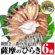 鹿児島県阿久根市産干物！新鮮さ一番のり薩摩のひらきセット(6種) 国産 九州産 魚介類 ひもの 乾物 アジ 鯵 タイ 鯛 サバ 鯖 きびなご かます 味付 おかず お弁当 詰合せ 詰め合わせ【川本商店】a-14-26-z