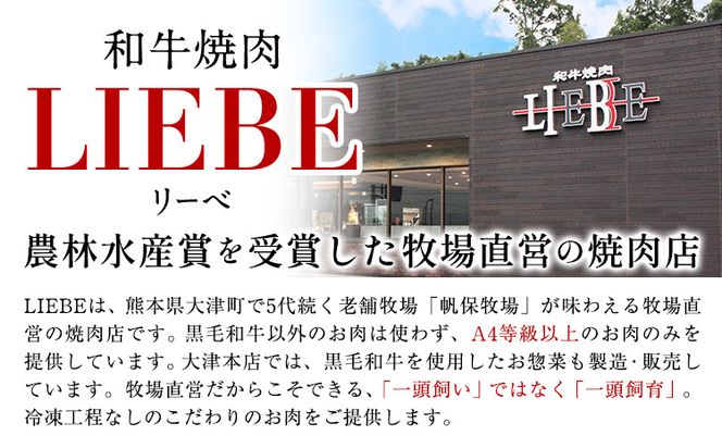 厳選くまもと黒毛和牛ハンバーグ 5個 (1個150g)《30日以内に出荷予定(土日祝除く)》熊本県 大津町 和牛焼肉LIEBE くまもと黒毛和牛 ハンバーグ 冷凍 リーベ---so_fliekrham_30d_24_15500_5p---