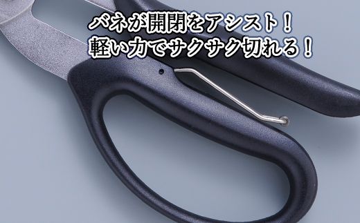 H9-102 ALLEX スーパーハードはさみ【ゴム・ホース用】一枚刃はさみ（SH-2 17212）