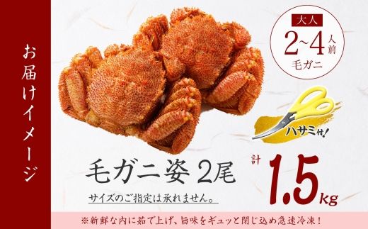 3336. 毛蟹 2尾 計1.5kg前後 食べ方ガイド・専用ハサミ付 カニ かに 蟹 海鮮 ボイル 送料無料 北海道 弟子屈町