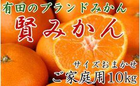 有田のブランド「賢みかん」10kg(S～Lサイズおまかせ）ご家庭用【2024年11月中旬頃より順次発送】BZ078