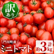 ＜先行予約受付中！4月から順次発送予定＞訳あり・規格外！数量限定の門川町産ミニトマト(計約3kg)フルーツトマト とまと 野菜 キャロルパッション サンチェリーピュア プレミアムルビー アイコ ミックス 生 旬野菜 冷蔵【X-10】【いけとも農園】