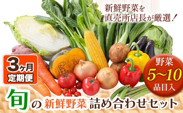 [3ヶ月定期便]旬の新鮮野菜詰め合わせセット 野菜5〜10品目入 青空市きらり[お申込み月の翌月から出荷開始]岡山県 矢掛町 野菜 野菜詰め合わせ トマト きゅうり アスパラガス 玉ねぎ リーキ 送料無料---osy_cakystei_24_22500_mo3num_s---