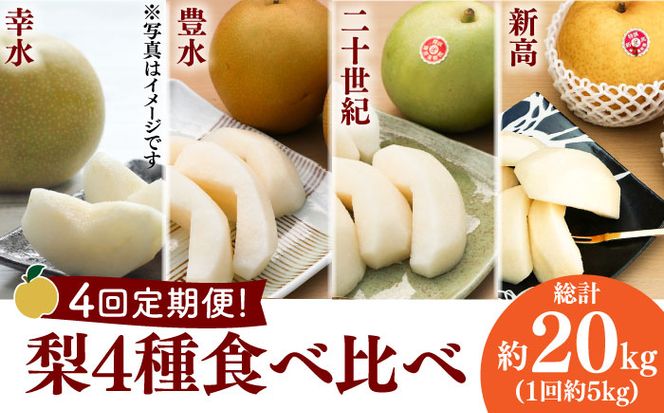 【2025年7月〜発送】 【4回 定期便 ！南島原の 梨 を 食べ比べ ！】幸水 豊水 二十世紀 新高 / 梨 なし フルーツ フルーツ定期便 / 南島原市 / 藤原果樹園 [SBV005]