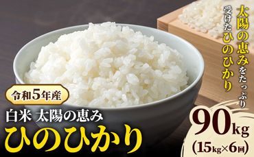 【令和5年産】白米 岡山県産 ひのひかり 笠岡産 90kg(15kg×6回)《30日以内に出荷予定(土日祝除く)》 農事組合法人奥山営農組合 太陽の恵み O-2_10k---O-02_90k_h---