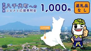 【 返礼品なし 】茨城県 八千代町 ふるさと応援寄附金 （ 1,000円 ) [ZZ001ya]